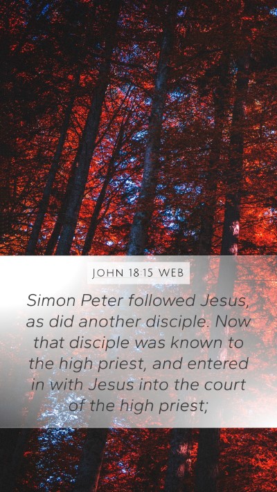 John 18:15 WEB Mobile Phone Wallpaper - Simon Peter followed Jesus, as did another - Mobile Bible Verse Wallpaper