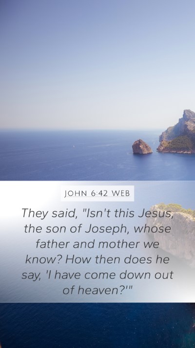 John 6:42 WEB Bible Verse Image