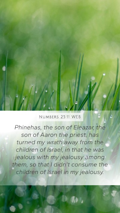 Numbers 25:11 WEB Mobile Phone Wallpaper - Phinehas, the son of Eleazar, the son of Aaron - Mobile Bible Verse Wallpaper